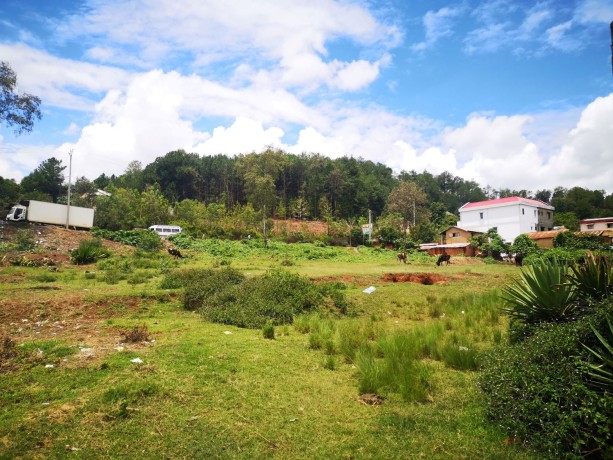 terrain-de-3000-m2-en-premier-plan-a-vendre-a-iavoloha-big-1