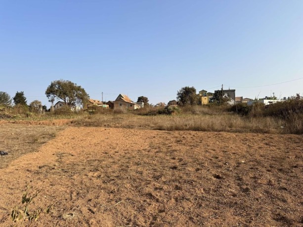 terrain-de-2000m2-a-ivato-ambatoloana-big-0