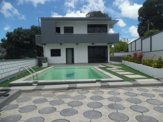 Villa neuve avec piscine à vendre à Ambohimiandra